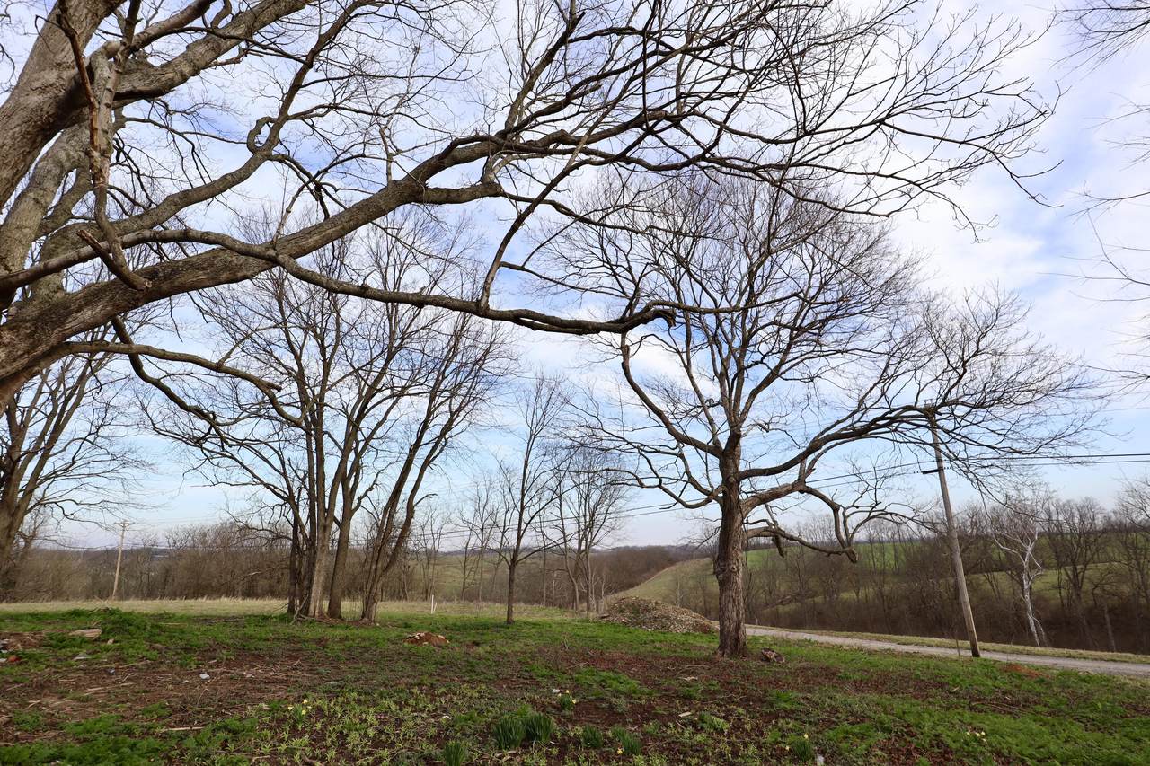 2693 Ky Hwy 356 - Photo 1