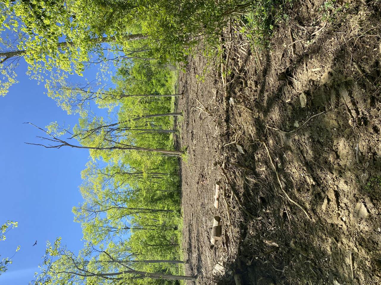 9701 River Rd Road - Photo 1