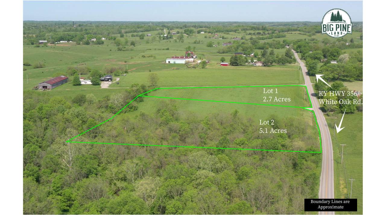 3147 Ky Hwy 356 - Photo 1
