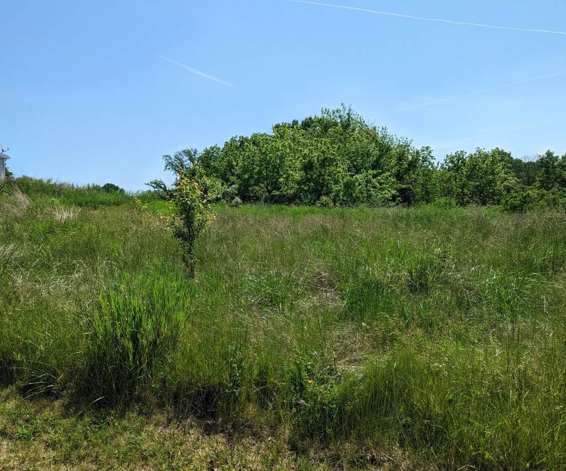 350 Eagle Ridge Drive - Photo 1