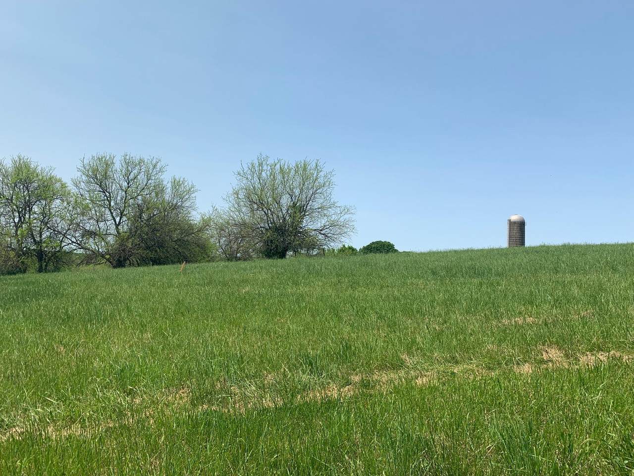 2503 Ky Hwy 356 - Photo 1