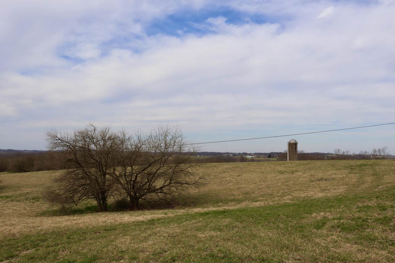 1579 Ammerman Pike - Photo 1