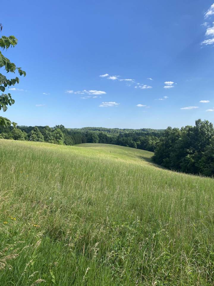 Lot 4 Shiloh Road - Photo 1