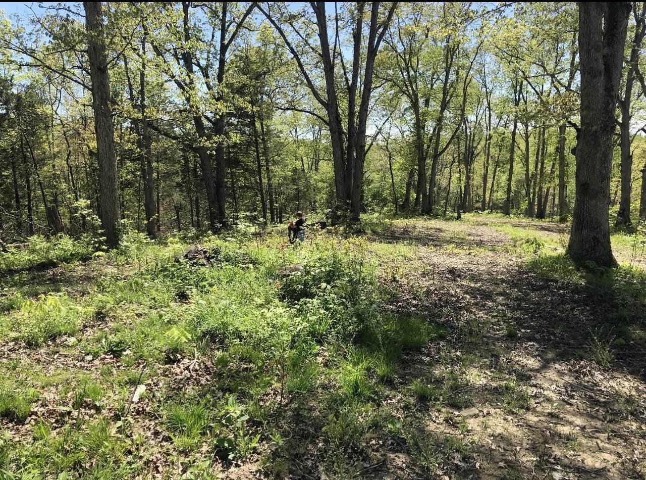 Lot 26 Wild Wood Acres - Fox Trail Rd - Photo 1