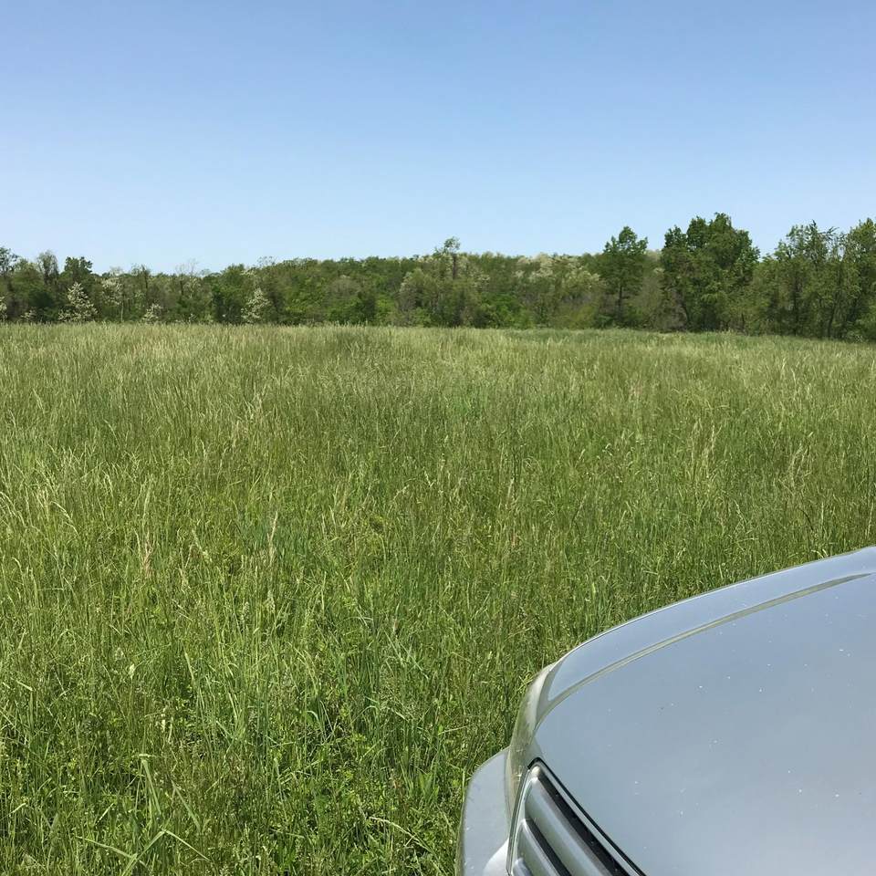0 State Hwy 713 - Grassy Lick Road - Photo 1