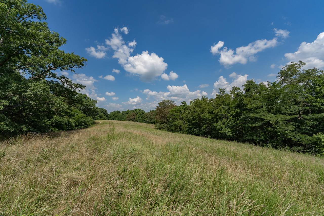280 Corinth-Hinton Road - Photo 1
