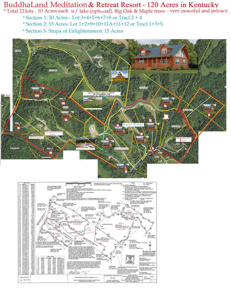 700 Zen Forest Road - Photo 1