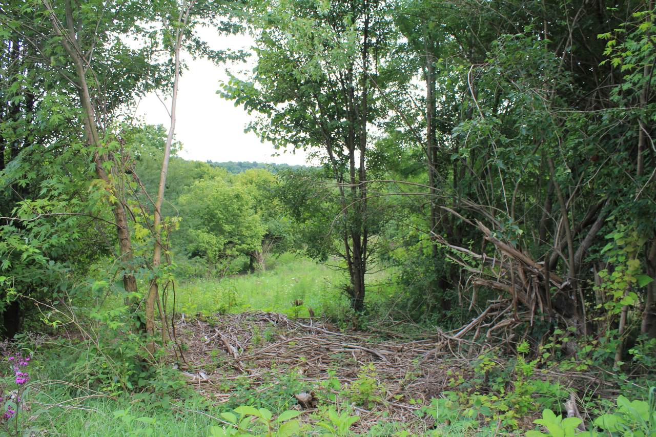 00 Cody Road - Photo 1