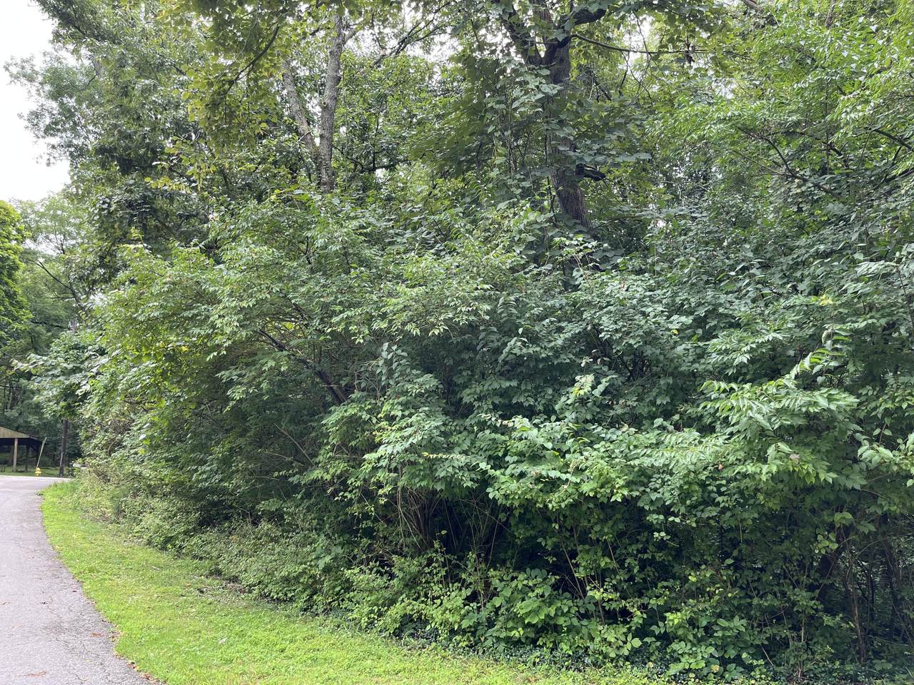 527 Maine Avenue - Photo 1