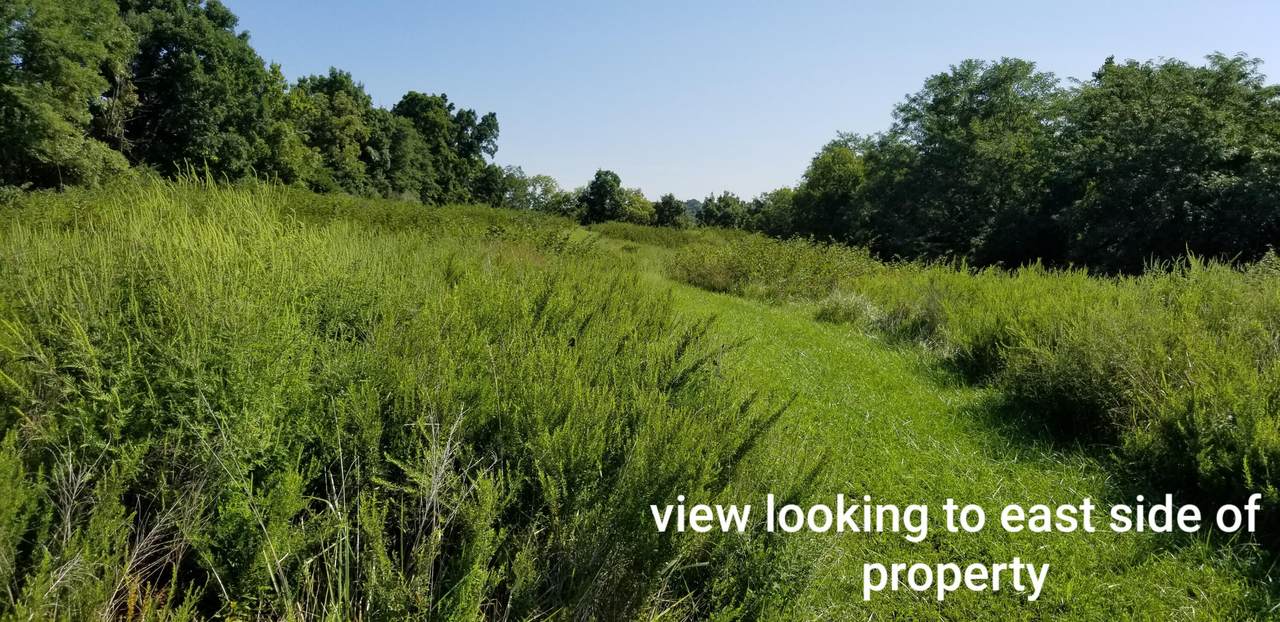3114 Cruise Creek Road - Photo 1