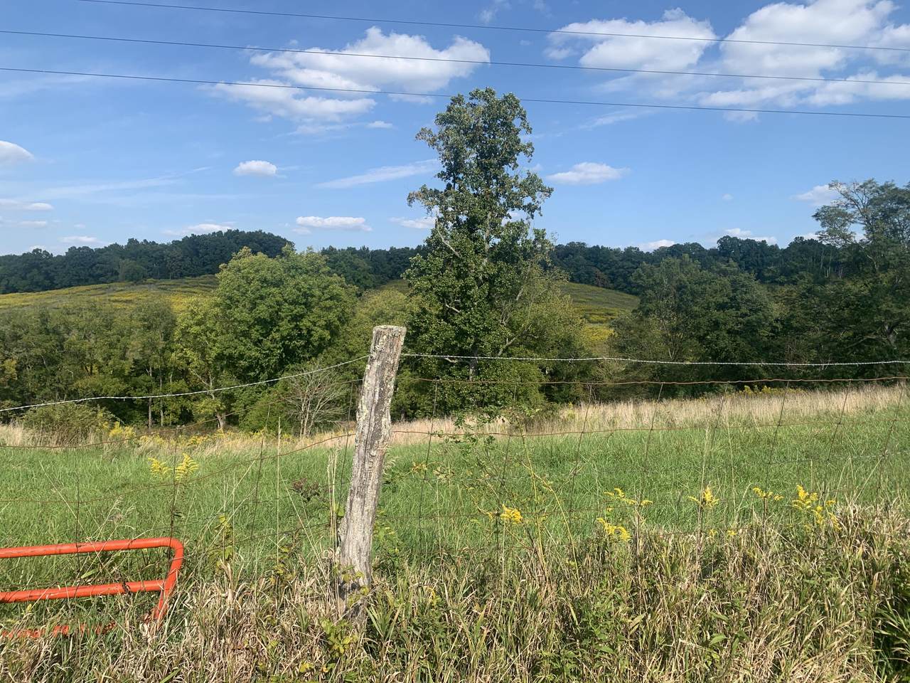 29.32 acre Needmore Cordova Road - Photo 1