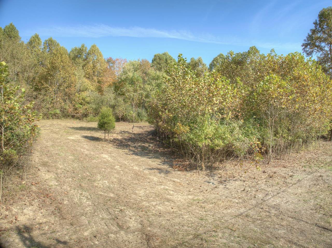 11191 Big Bone Church Road - Photo 1