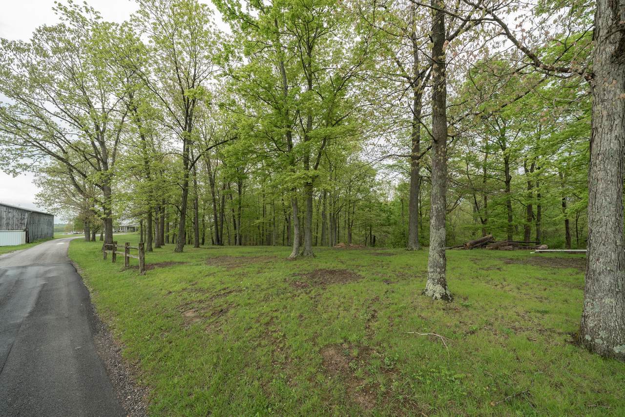 539 Wolfe Road - Photo 1