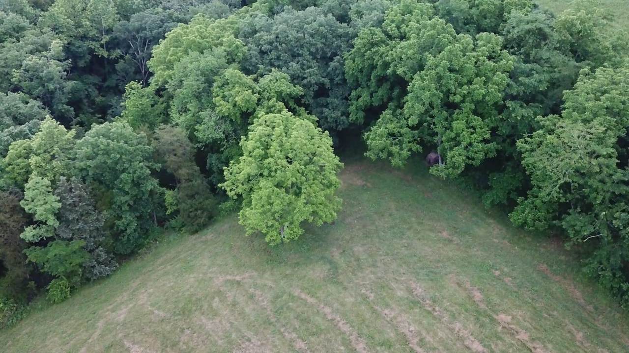 980 Ishmael Chapel Road - Photo 1