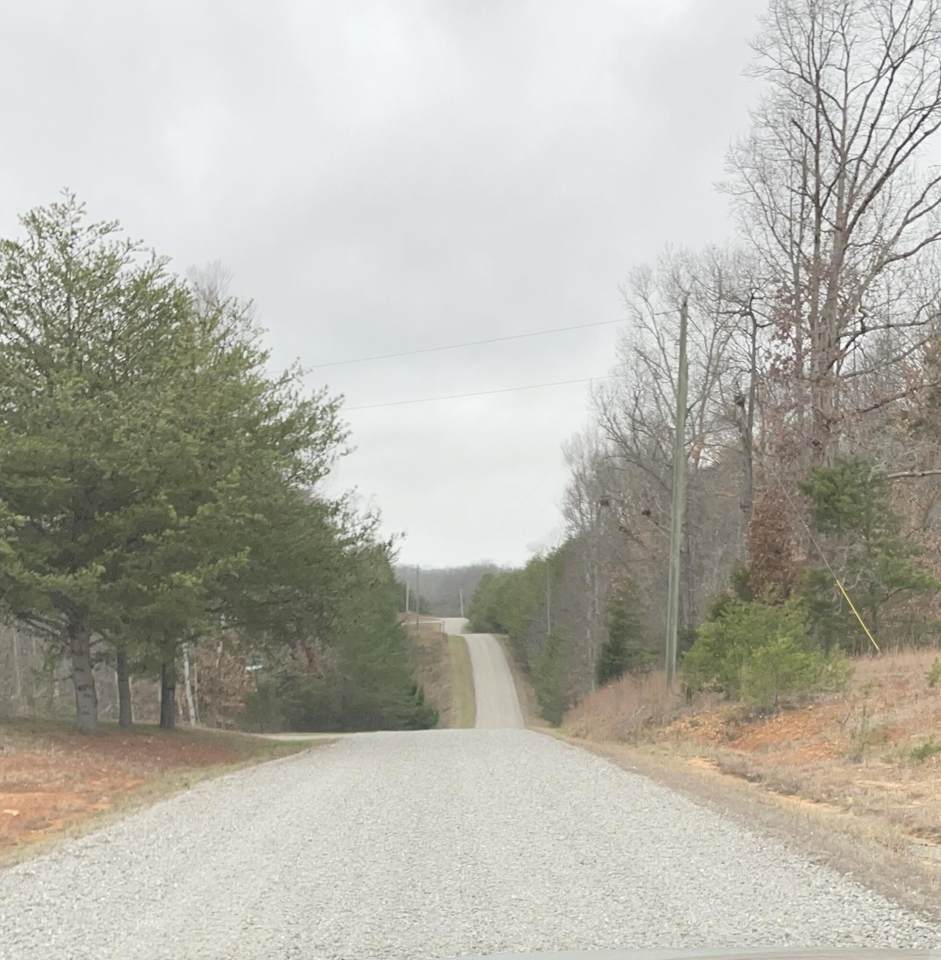 Lot 124 Kelly Circle - Photo 1