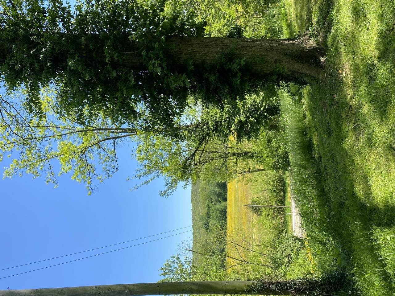 9699 River Road - Photo 1