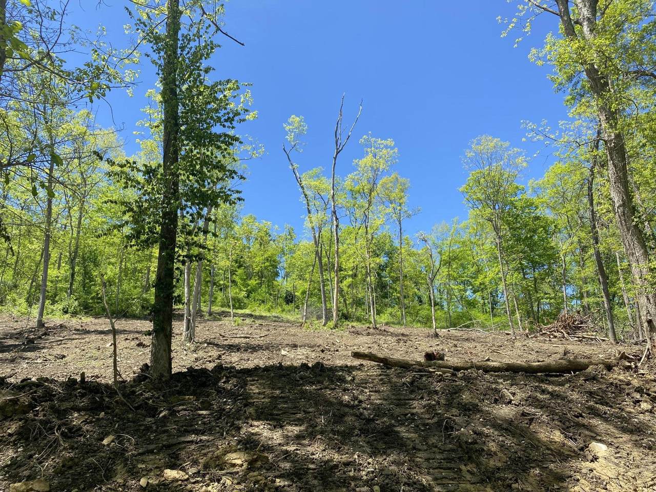 9701 River Road - Photo 1