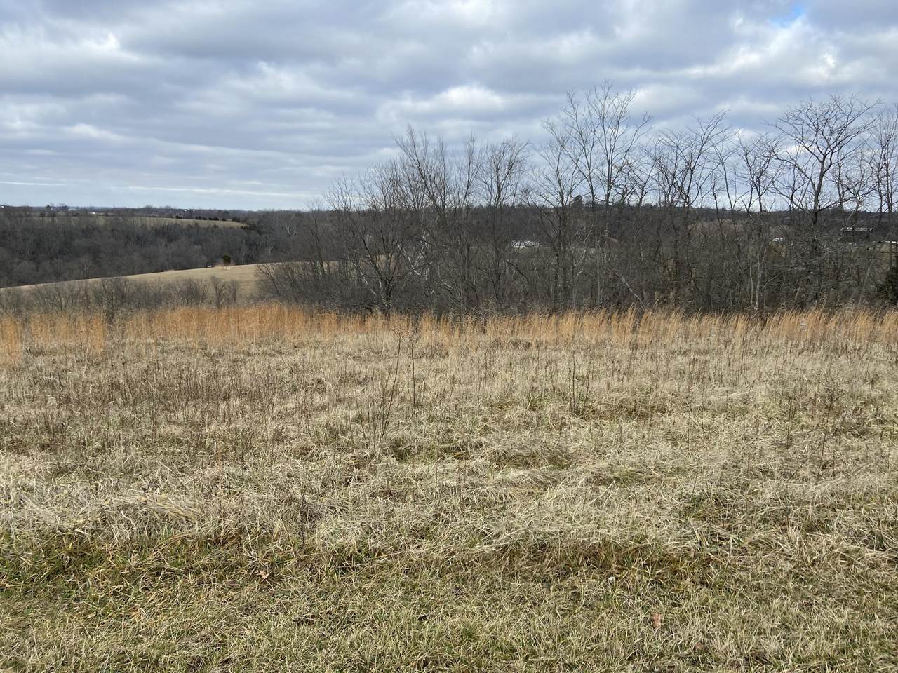 2597 Bridgeville Road - Photo 1