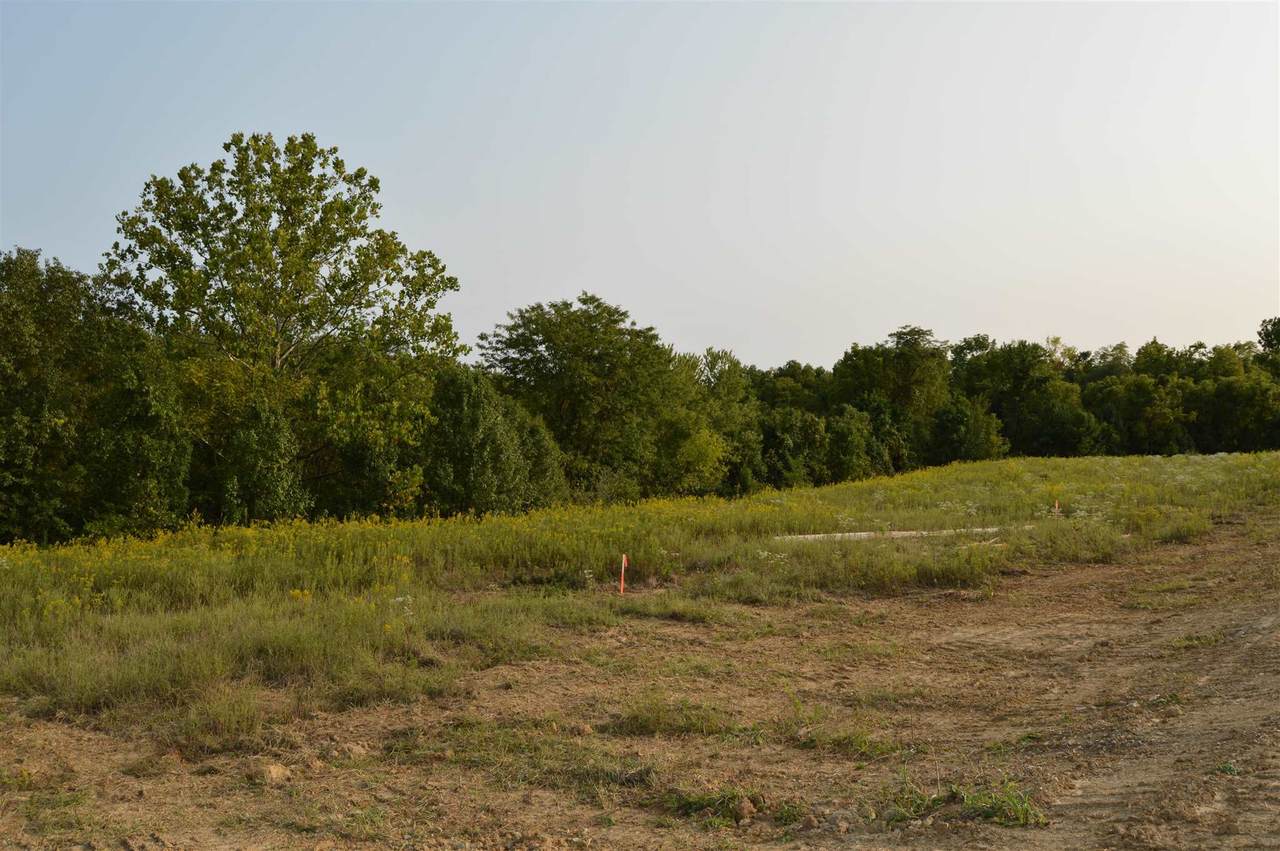Lot 1 Crown Point Circle - Photo 1