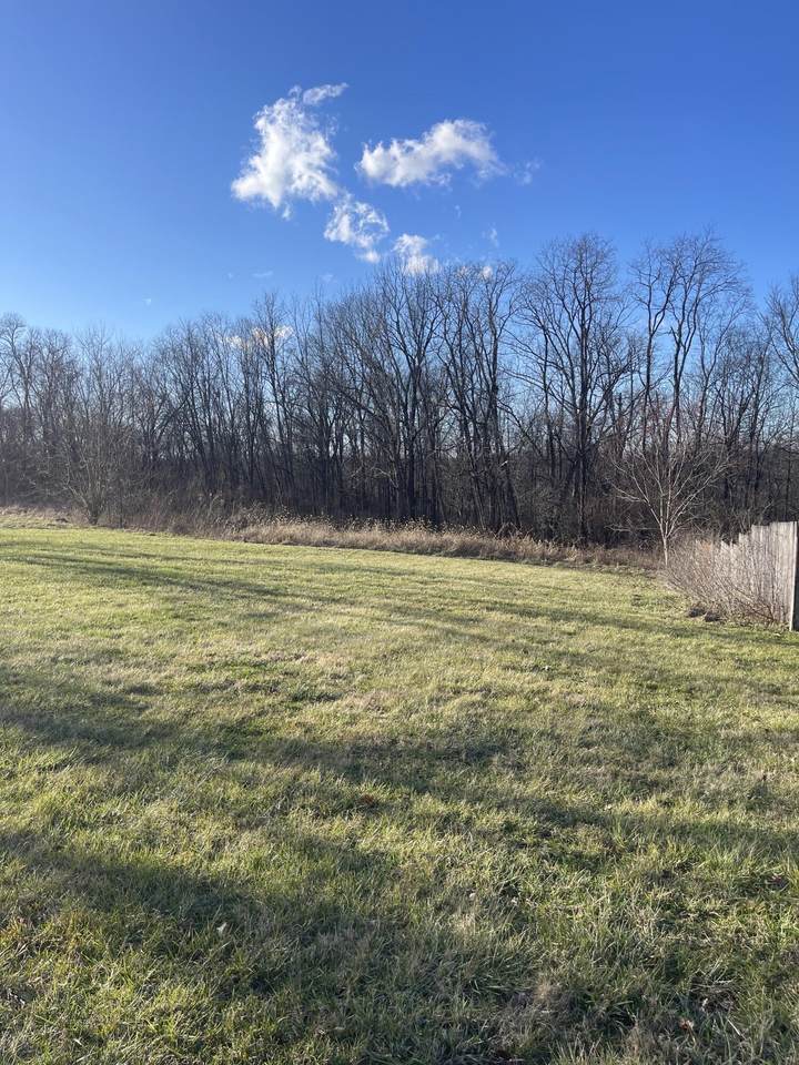 1390 Lemon Northcutt Road - Photo 1