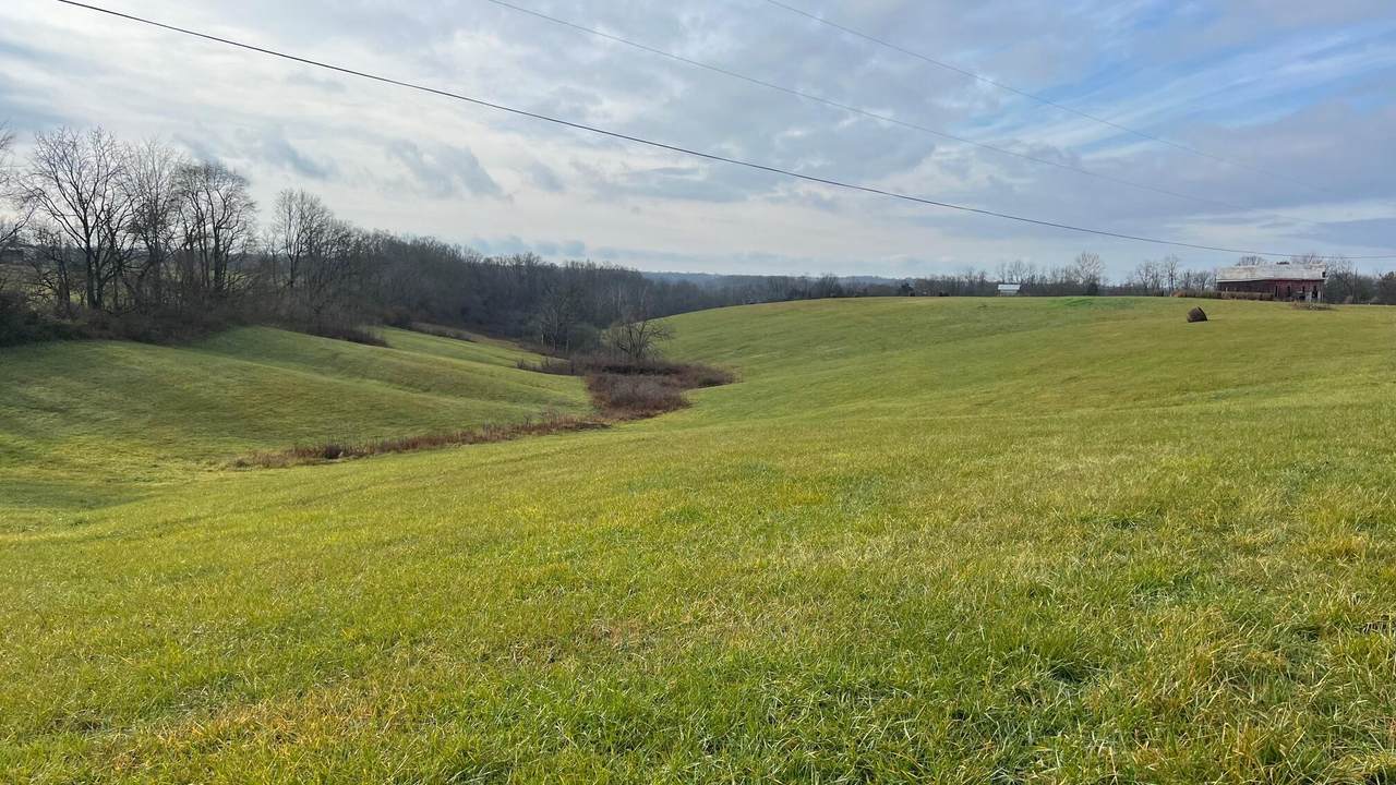 360-2 Mulligan Road - Photo 1