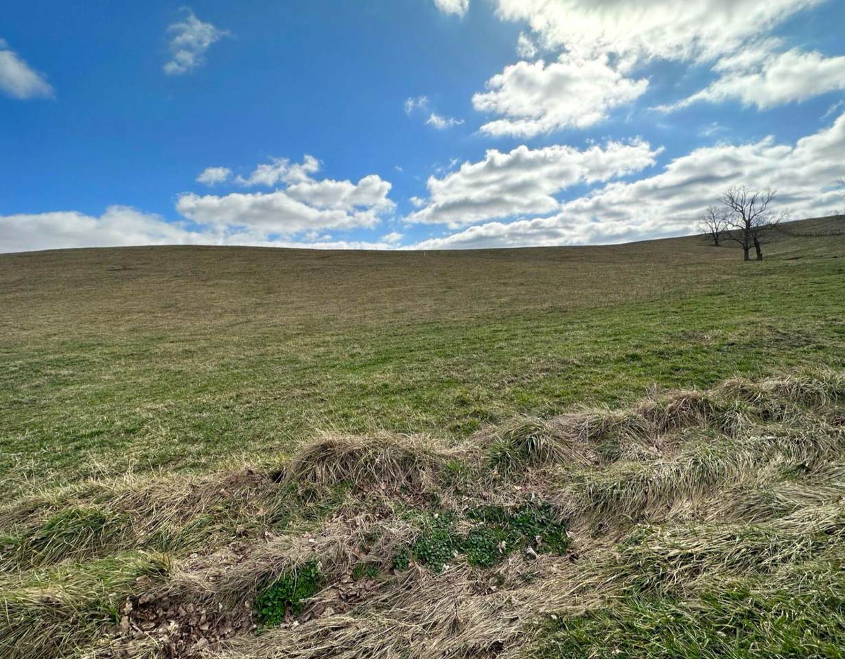 251 Finnell Pike - Photo 1