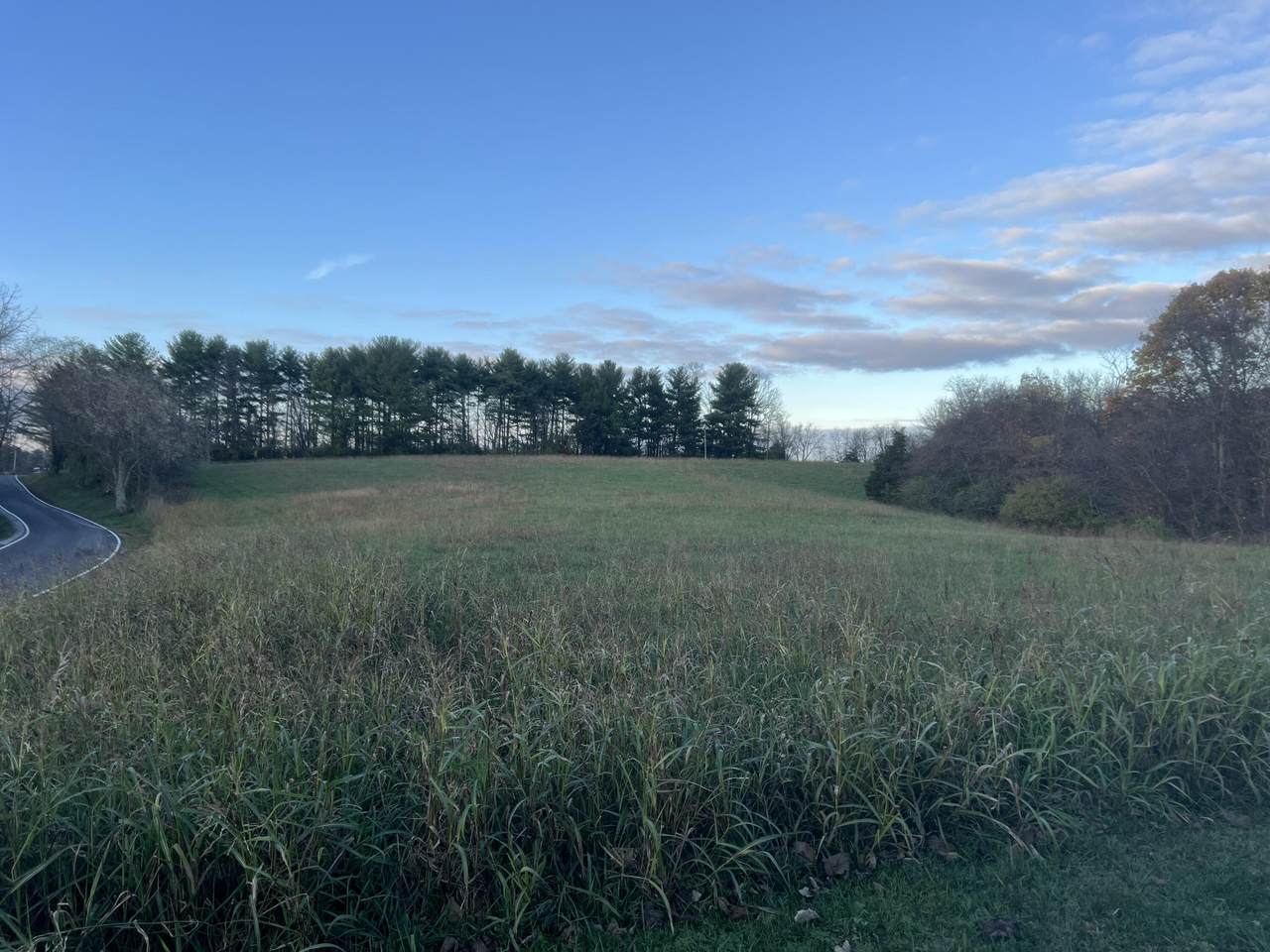 12187 Klein Road - Photo 1