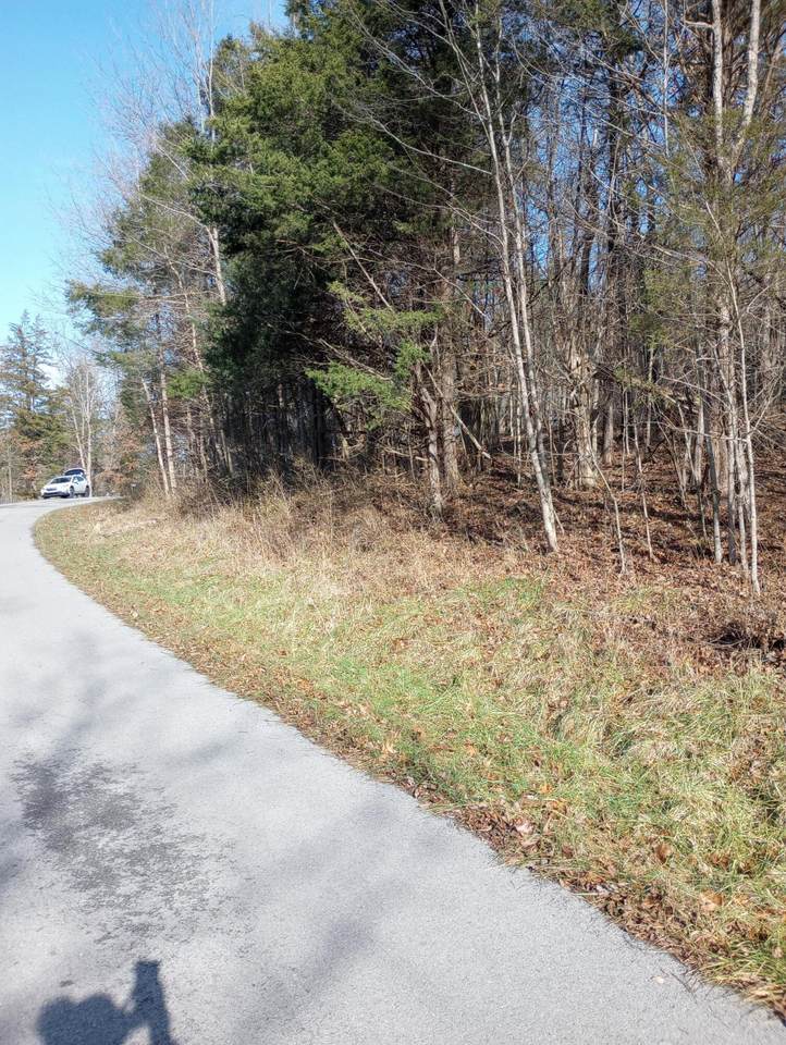 . Buckeye Hills Road - Photo 1