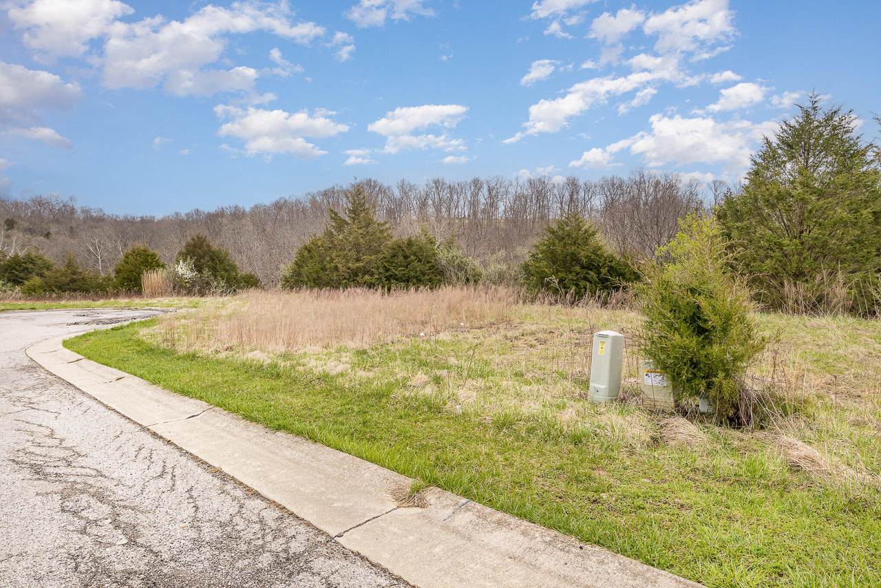 Lot 31 Saddlebrook Lane - Photo 1