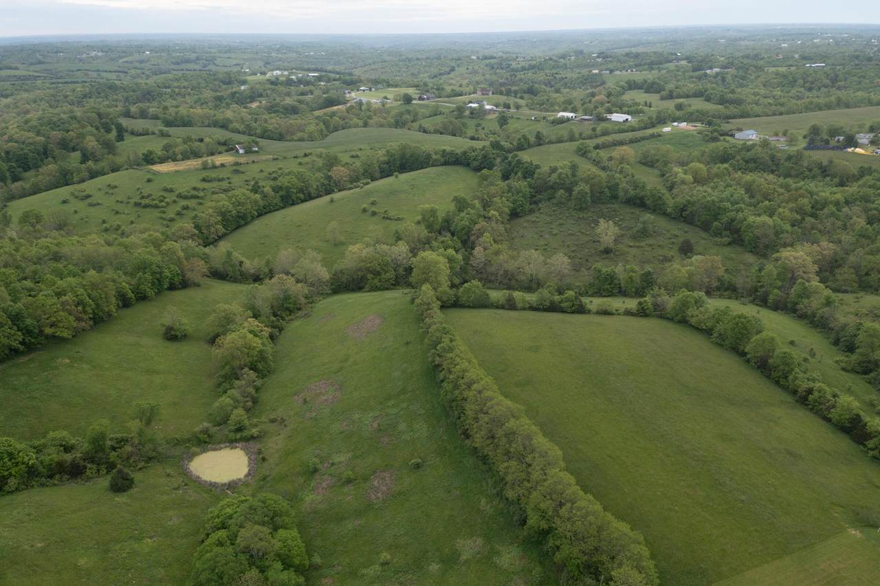 341Acres Menefee Rd. Road - Photo 1