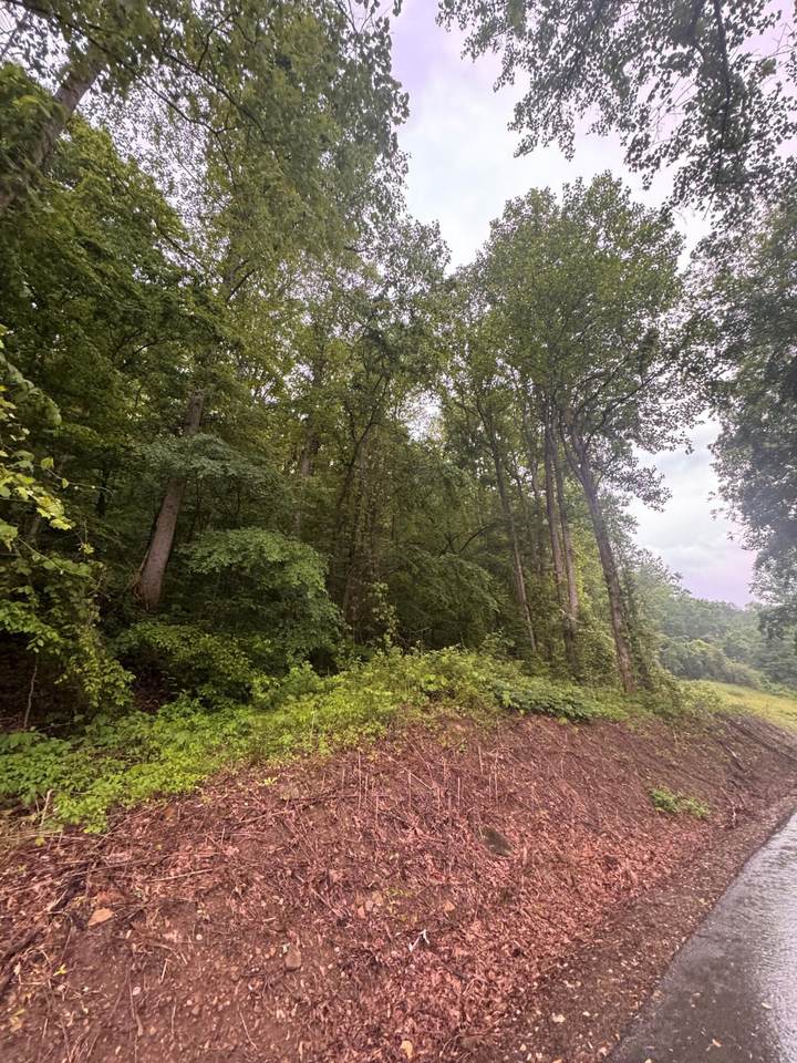 499 Little Bullskin Road - Photo 1