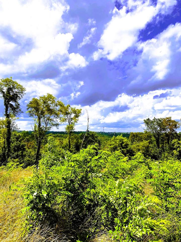 5 Ac Oak Ridge Road - Photo 1