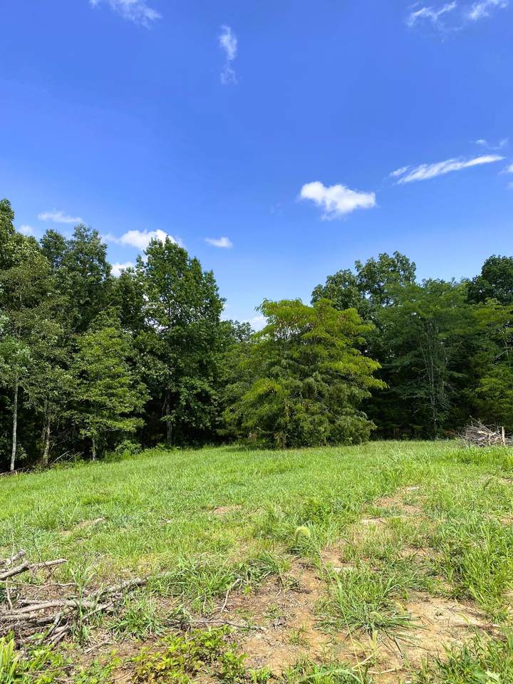 15 AC Hwy 22 Tract 2 - Photo 1