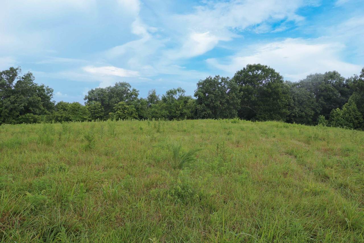 520 Pennington Lane Lane - Photo 1