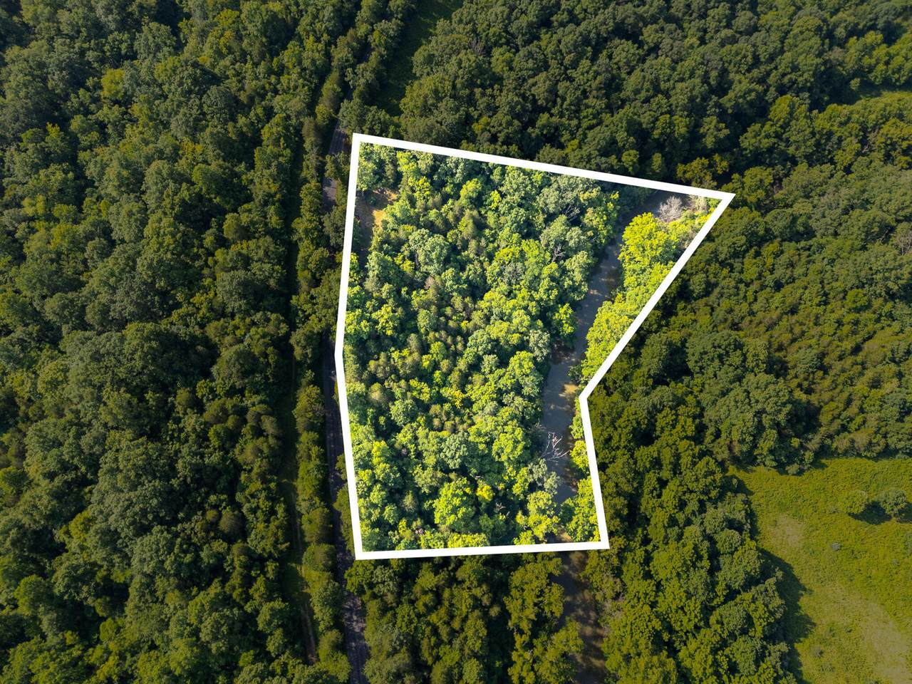 2379 Straight Shoot Road - Photo 1