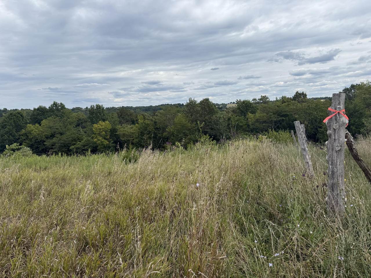 Lot 32 Lehman Drive - Photo 1