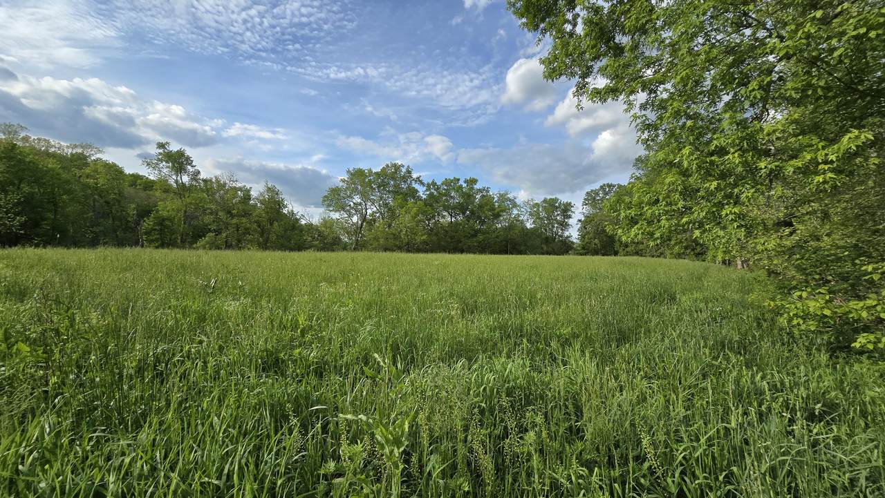 Tract 2 Folsom Jonesville Road - Photo 1