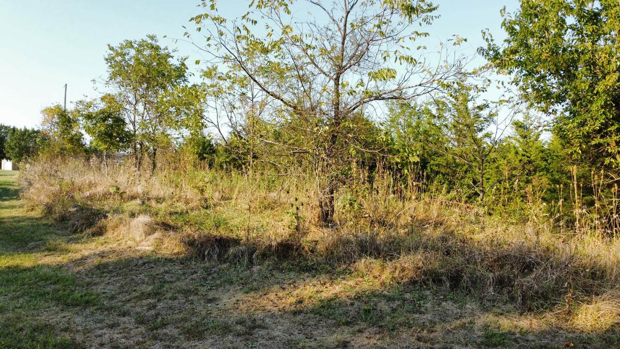 0 Jackie Lane - Photo 1