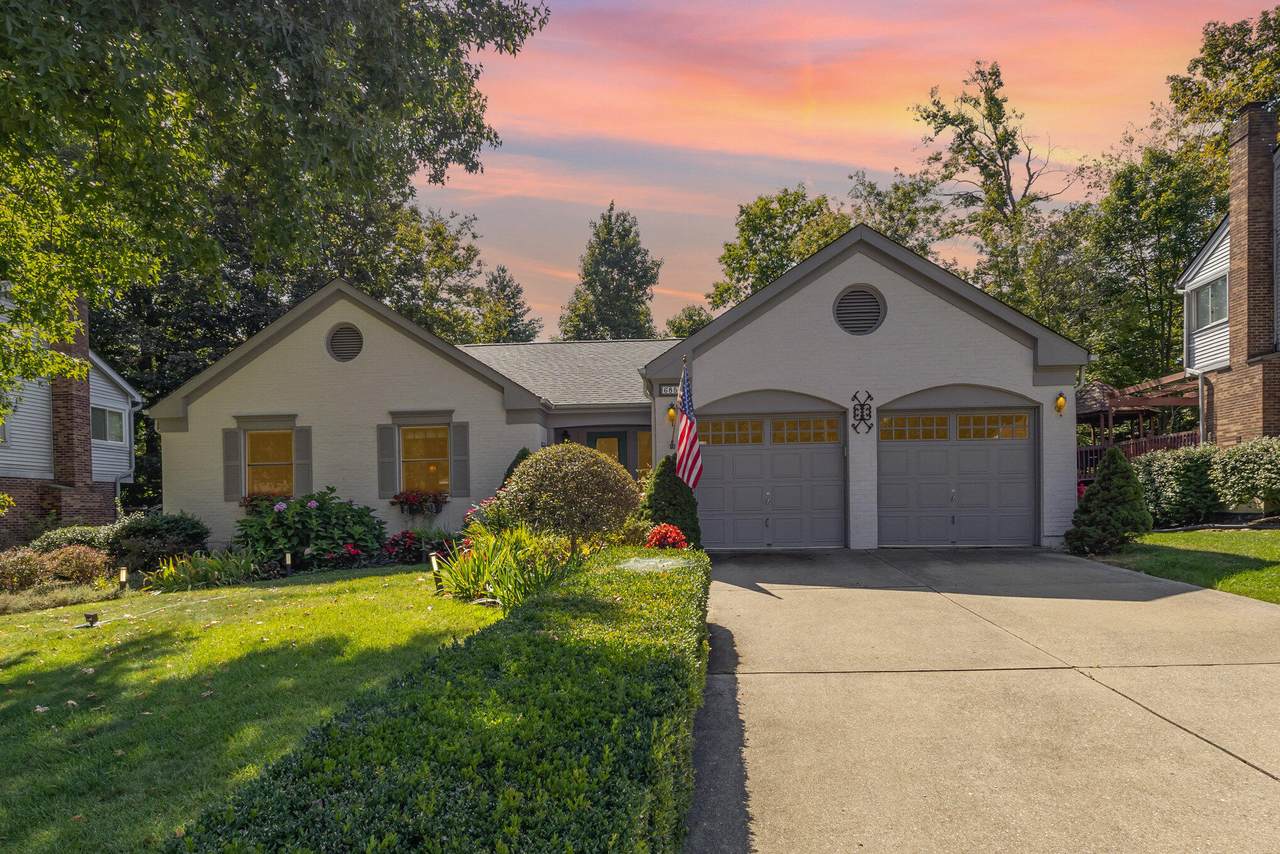 6855 Glen Arbor Drive - Photo 1