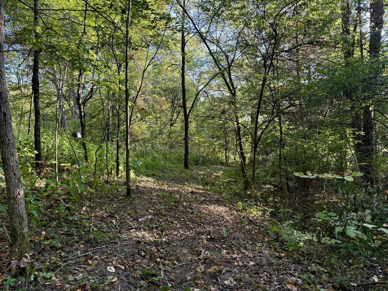 57 +/- Acres Conley Road - Photo 1