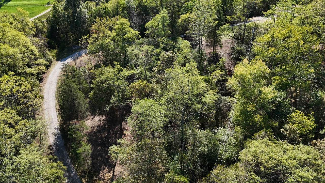 0 Licking Pike - Photo 1