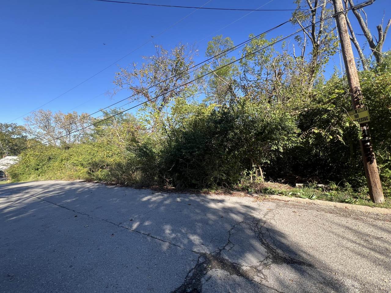 219 Cleveland Avenue - Photo 1