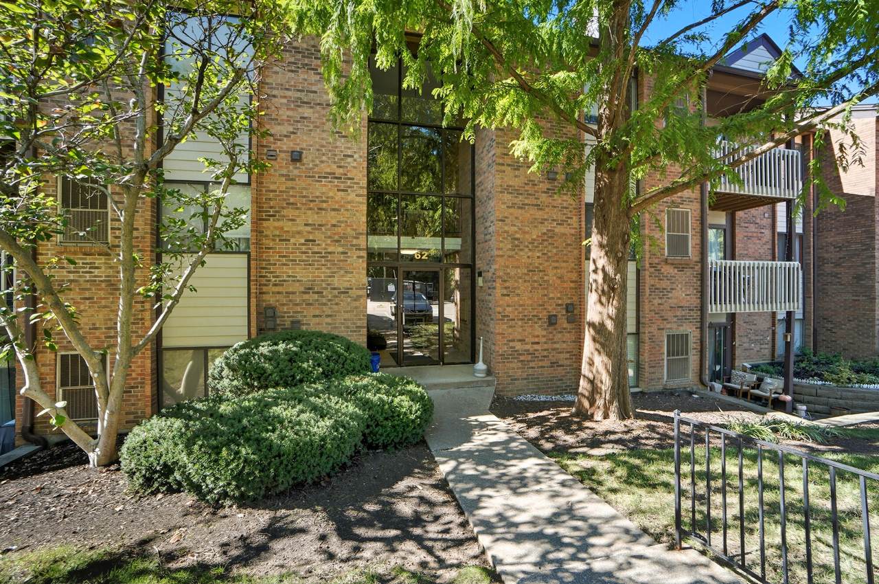 62 View Terrace Drive - Photo 1