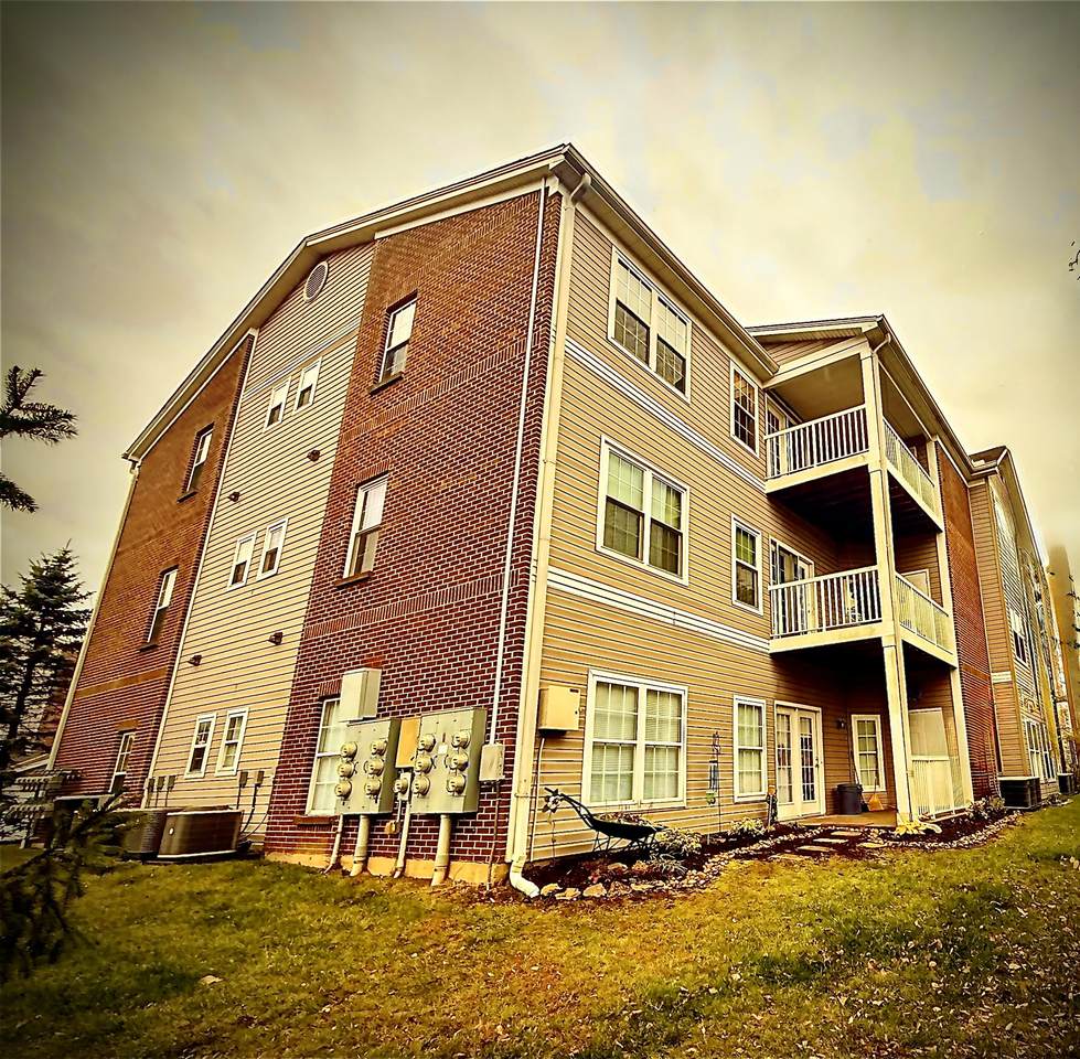 969 Mistflower Lane - Photo 1