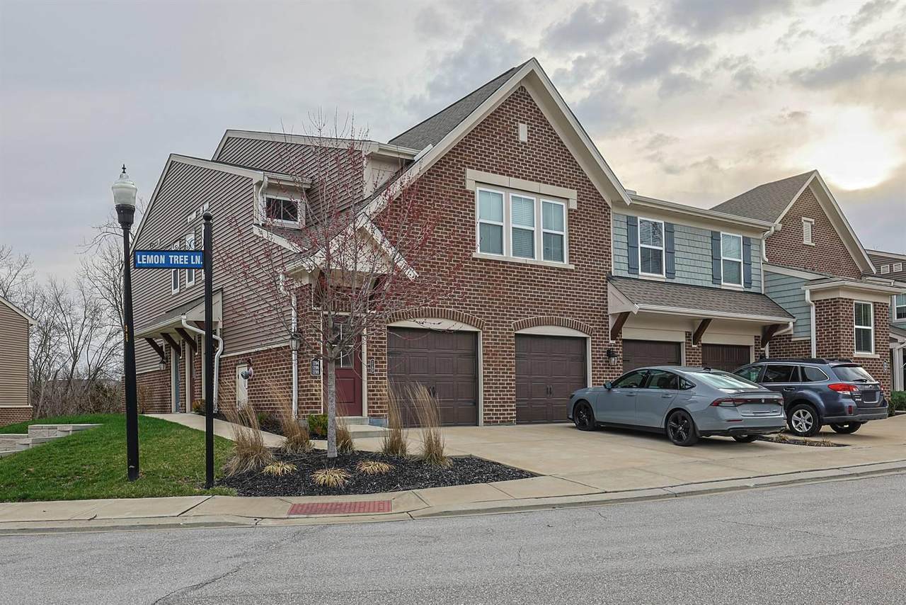 1194 Lemon Tree Lane - Photo 1