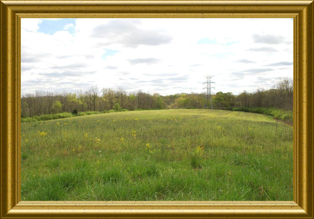195 acres Germantown Rd (Rt 3056) - Photo 1