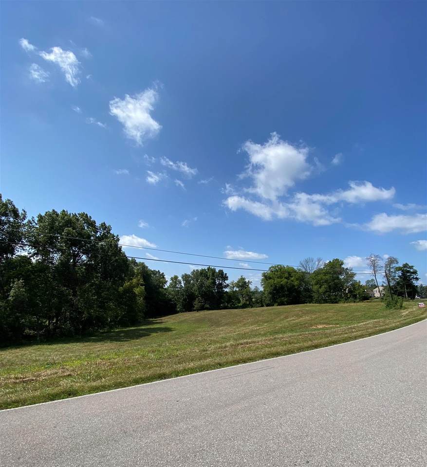 2.62 Acres Violet Road - Photo 1