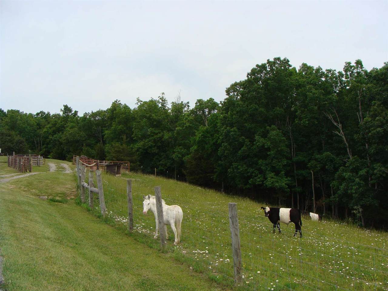 0 1054 Hwy - Photo 1