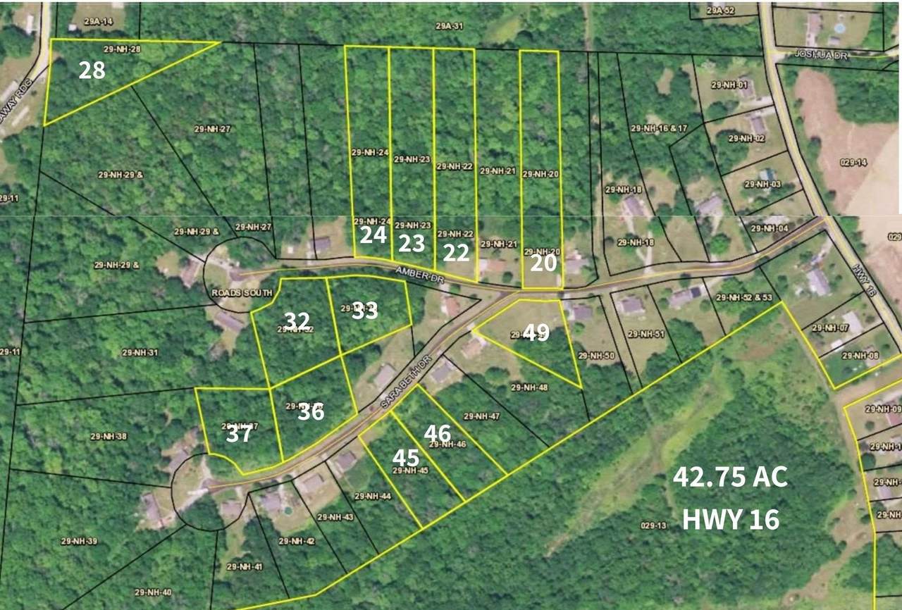 Lot 36 Sarabeth Drive - Photo 1