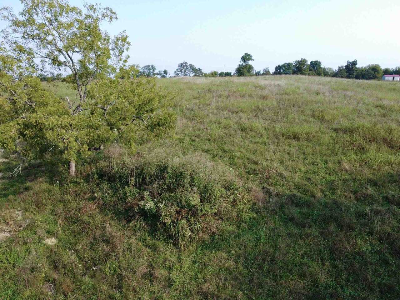 730 Frank Clark Road - Photo 1